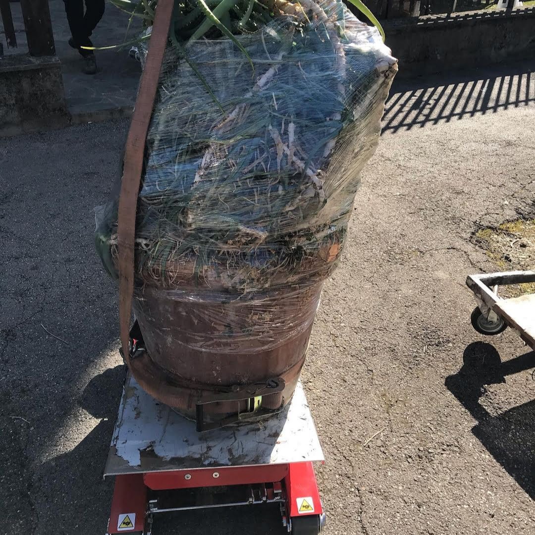 Large pot handling with electric trolley