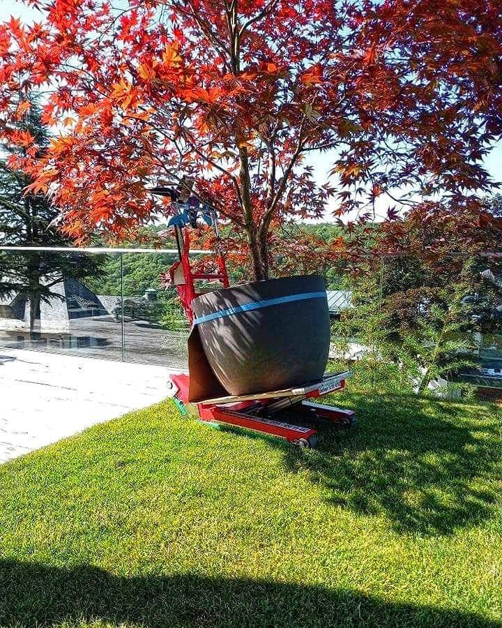 Carrello saliscale elettrico per trasporto vasi e piante
