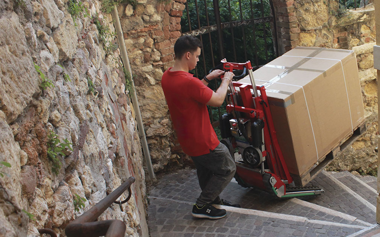 Saliscale professionali